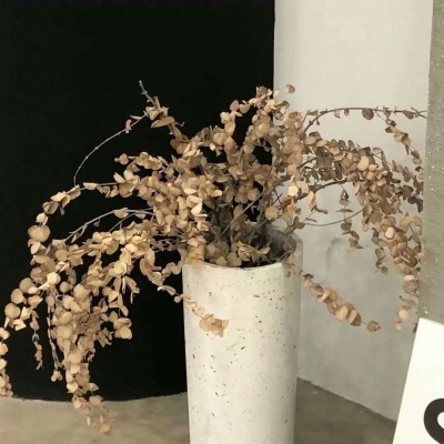 Furry黑白线稿教程福瑞群